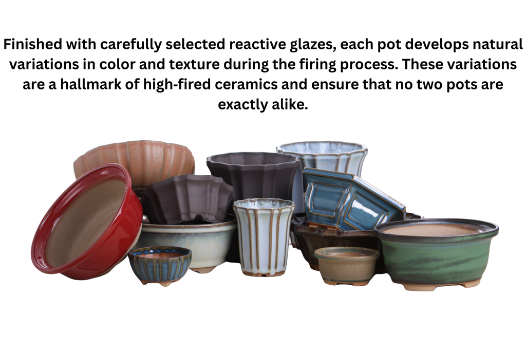 Willow Bonsai Ceramics Square Bonsai Pot 5.5 Inch – Low‑Profile Square Ceramic Bonsai & Succulent Planter with Accentuated Rim, High‑Fired Frost‑Proof Stoneware, Handmade in USA (Yellow)