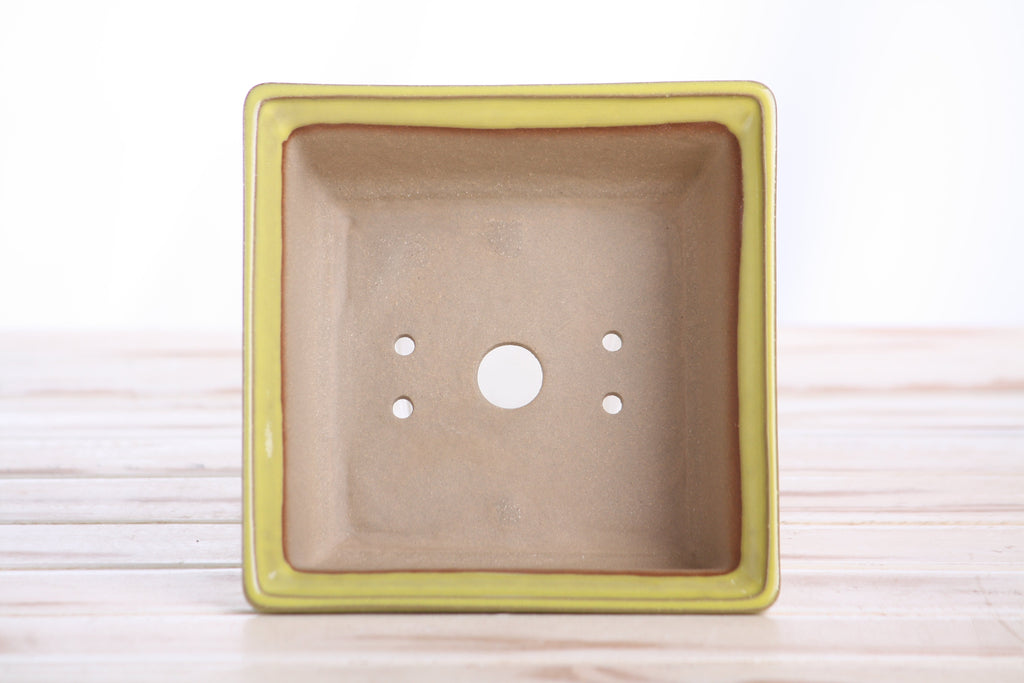Willow Bonsai Ceramics Square Bonsai Pot 5.5 Inch – Low‑Profile Square Ceramic Bonsai & Succulent Planter with Accentuated Rim, High‑Fired Frost‑Proof Stoneware, Handmade in USA (Yellow)