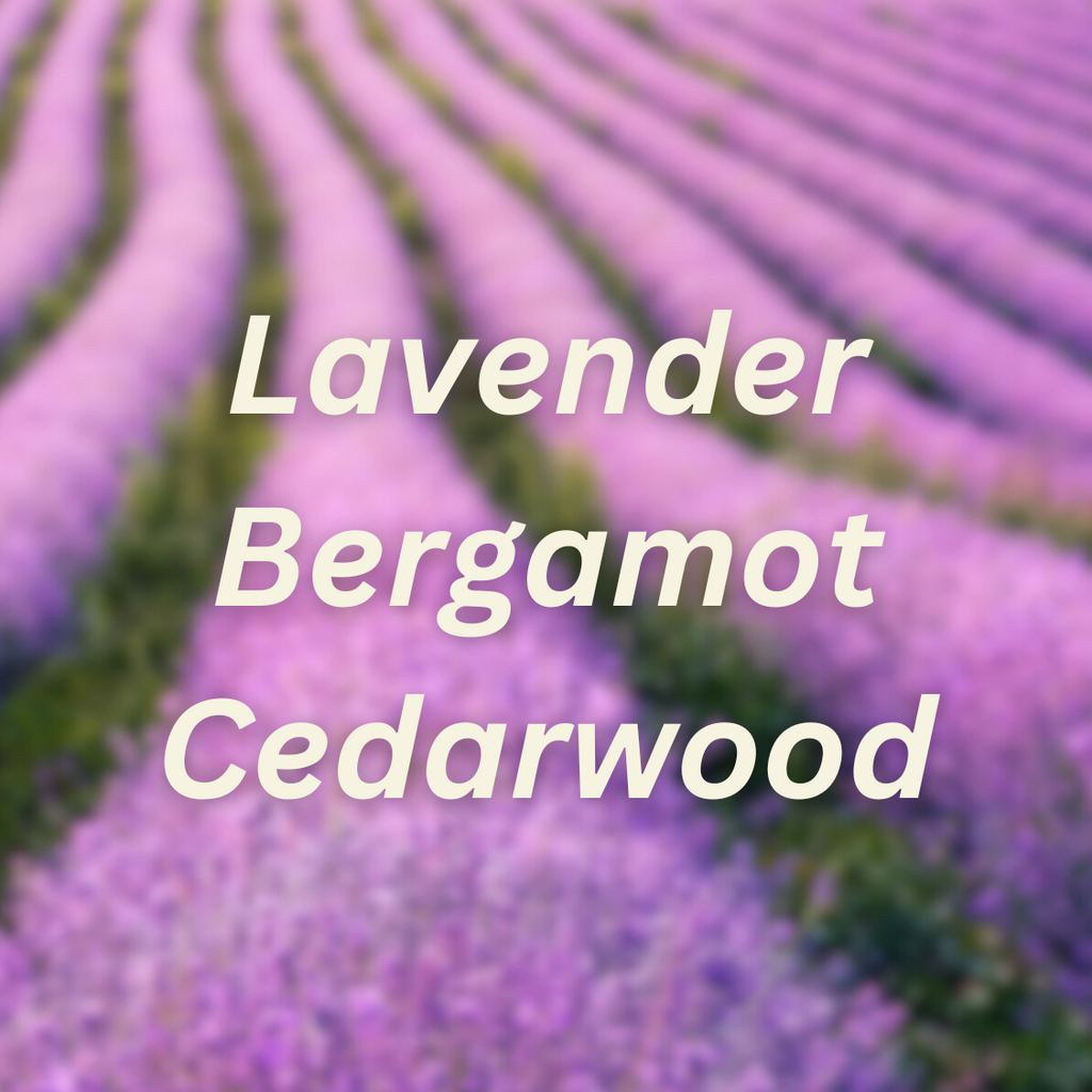 Lavender Fields Scent Booster