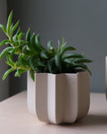 Wrap Planter - 4 sizes