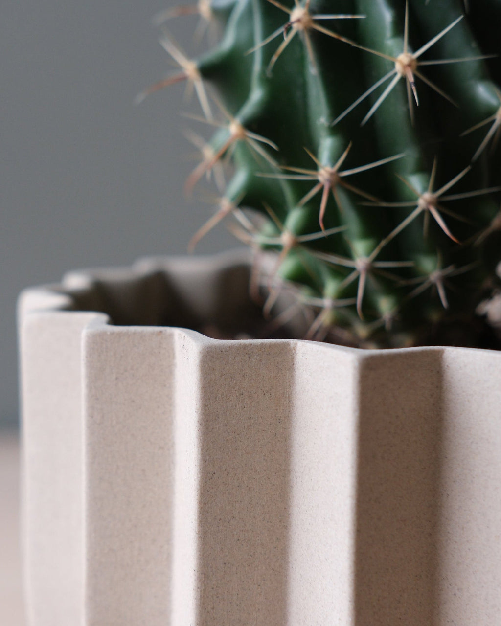 Wrap Planter - 4 sizes